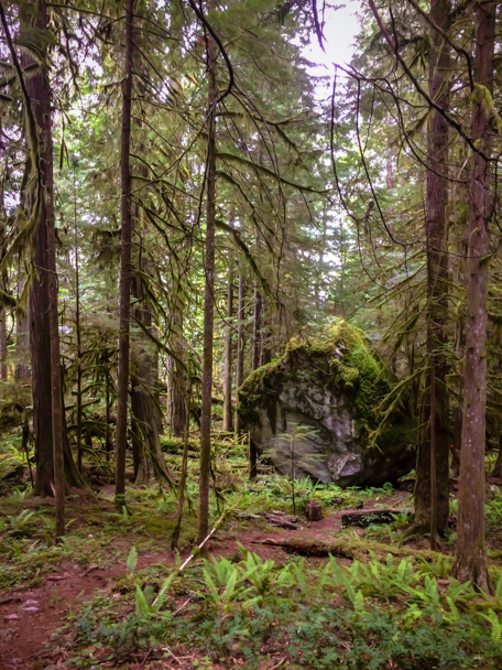 Travel Photos of Hikes in BC | Barbara Cameron Pix | Food & Travel Photographer