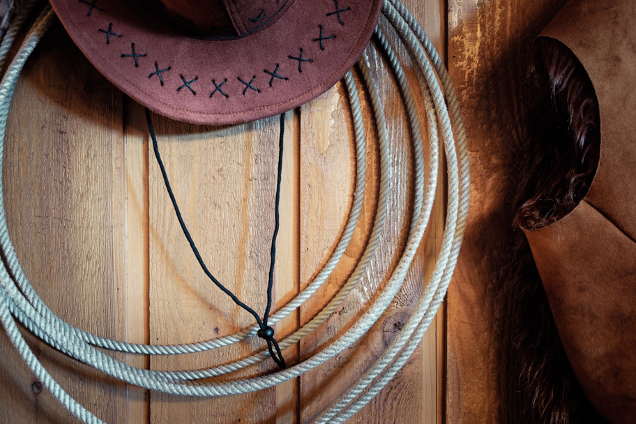 Equestrian Still Life by Barbara Cameron Pix, Pro Photographer