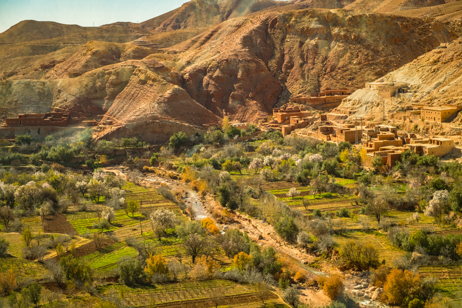 Fertile valley in Ouarzazate Province, Morocco | Barbara Cameron Pix | Food & Travel Photographer