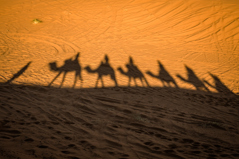 Camel trek shadows, Sahara Desert, Morocco | Barbara Cameron Pix | Food & Travel Photographer