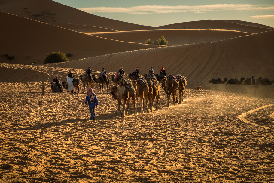 Camel trekkers arrive at camp, Sahara Desert, Morocco | Barbara Cameron Pix | Food & Travel Photographer