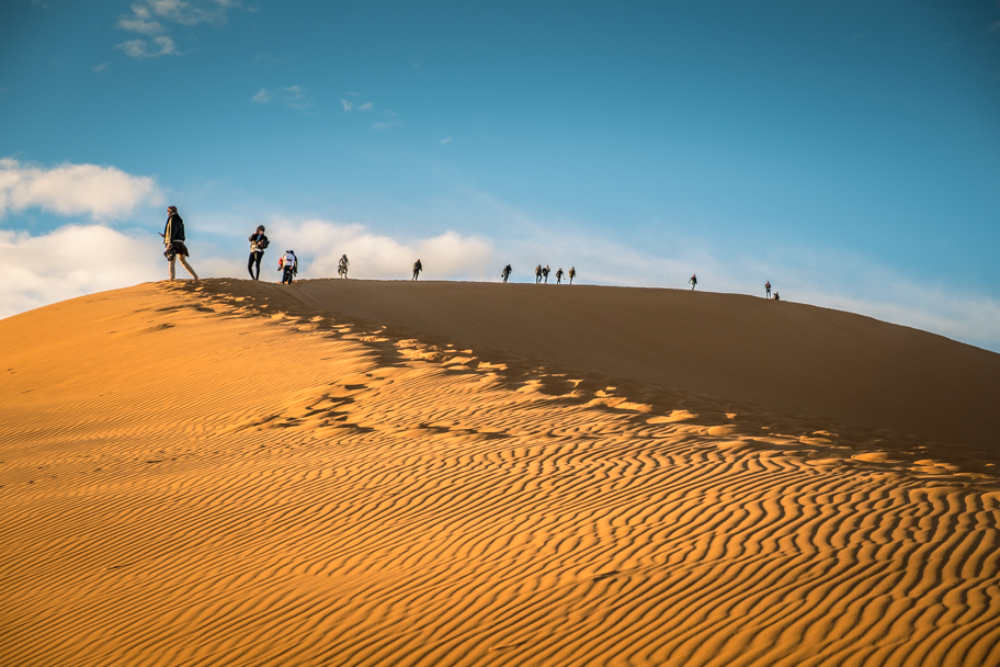 Camel, Sahara Desert, Morocco | Barbara Cameron Pix | Food & Travel Photographer