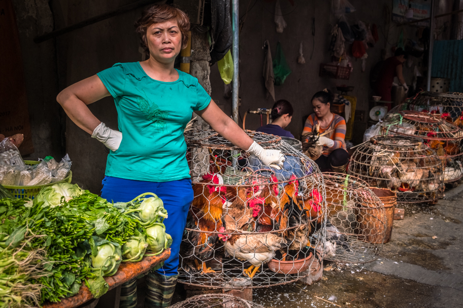 Fresh chickens for sale, Hanoi, Vietnam | Barbara Cameron Pix | Food & Travel Photographer