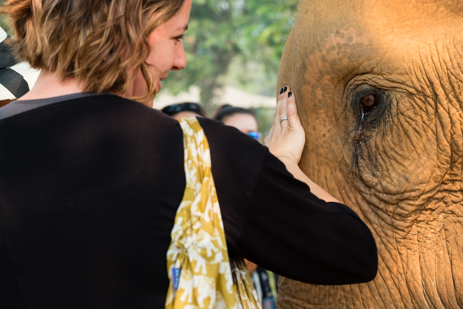 Interacting responsibly with elephants| Barbara Cameron Pix | Food & Travel Photographer